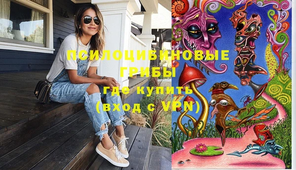мяу мяу мука Бородино