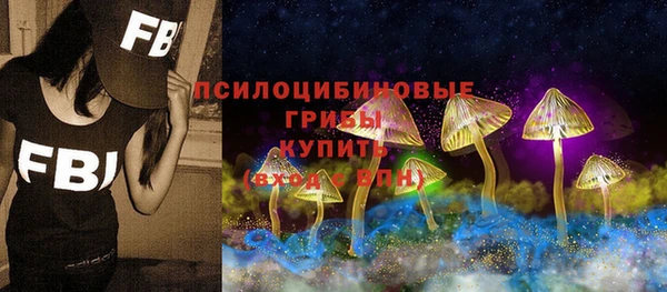 мяу мяу мука Бородино