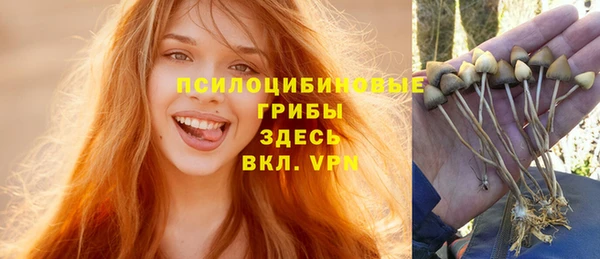 мяу мяу мука Бородино
